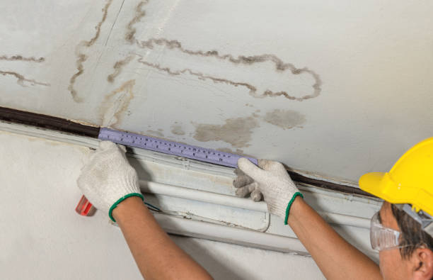 Reliable Water Extraction contractor in Princeton, NJ by Water Damage Irwin